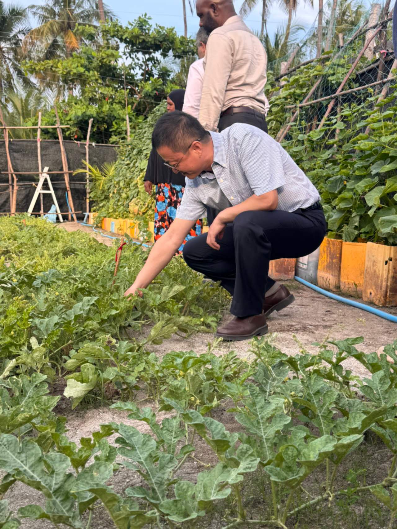 333.jpg
