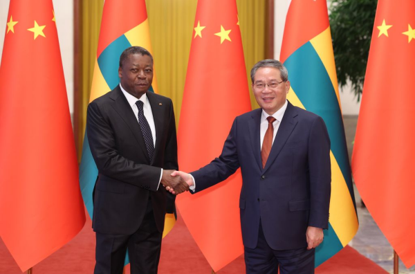 李强 多哥1.jpg